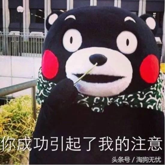 春天来了狗狗也撒欢,春天来了你家的狗能管好吗