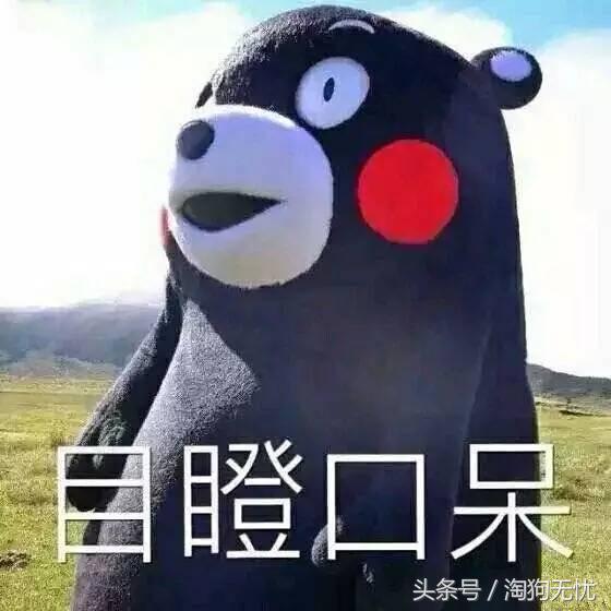 春天来了狗狗也撒欢,春天来了你家的狗能管好吗