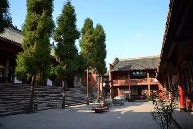 成都周边踏青二日游自驾游,春节成都看花好玩的地方推荐