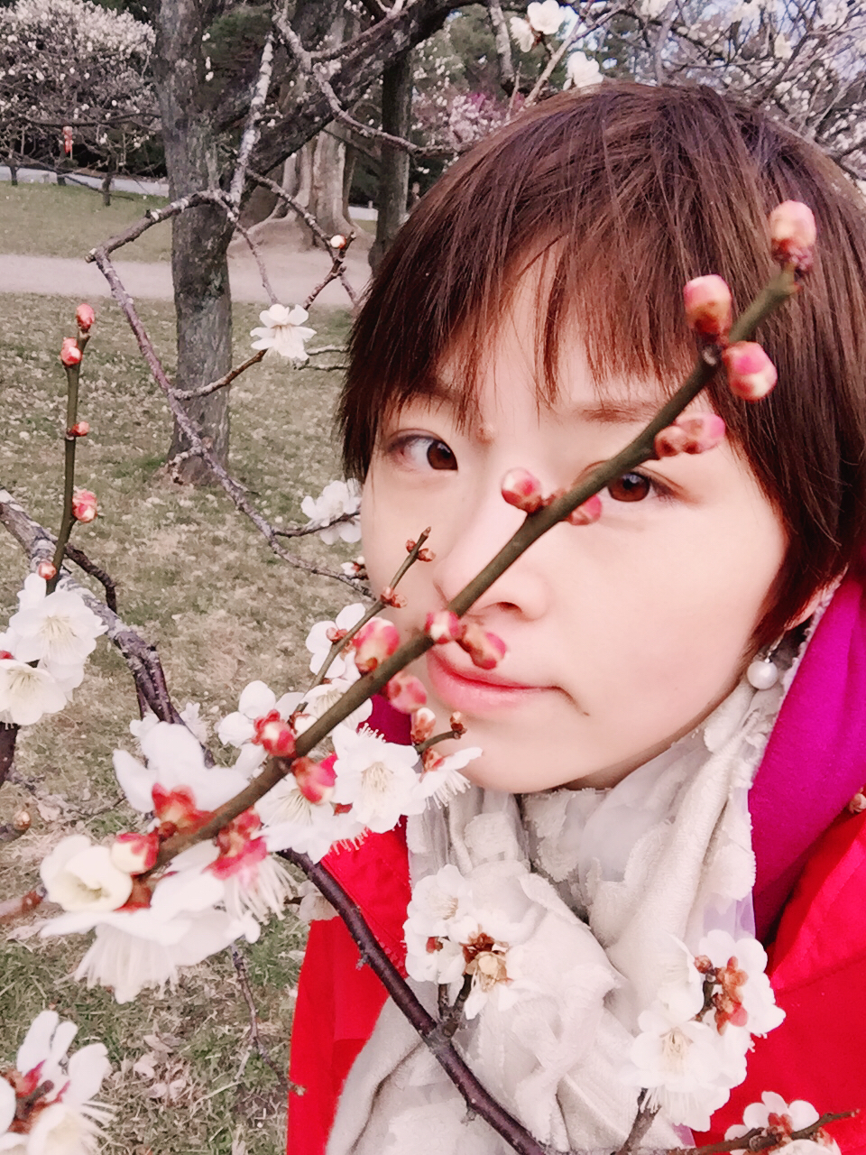 茶之道在于心静,茶是心静的良药