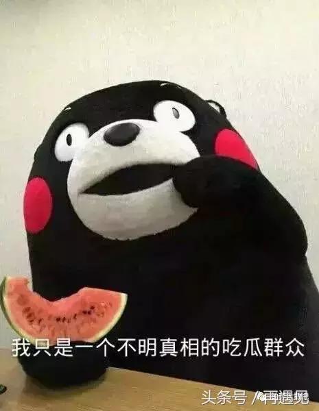 帕劳旅游物价视频,帕劳真正的物价