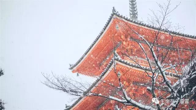拉面 · 自动贩售机 · 雪｜云之彼岸的日本欢脱之旅