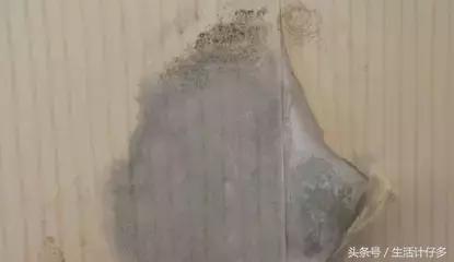 回南天是如何产生霉菌的,回南天霉菌