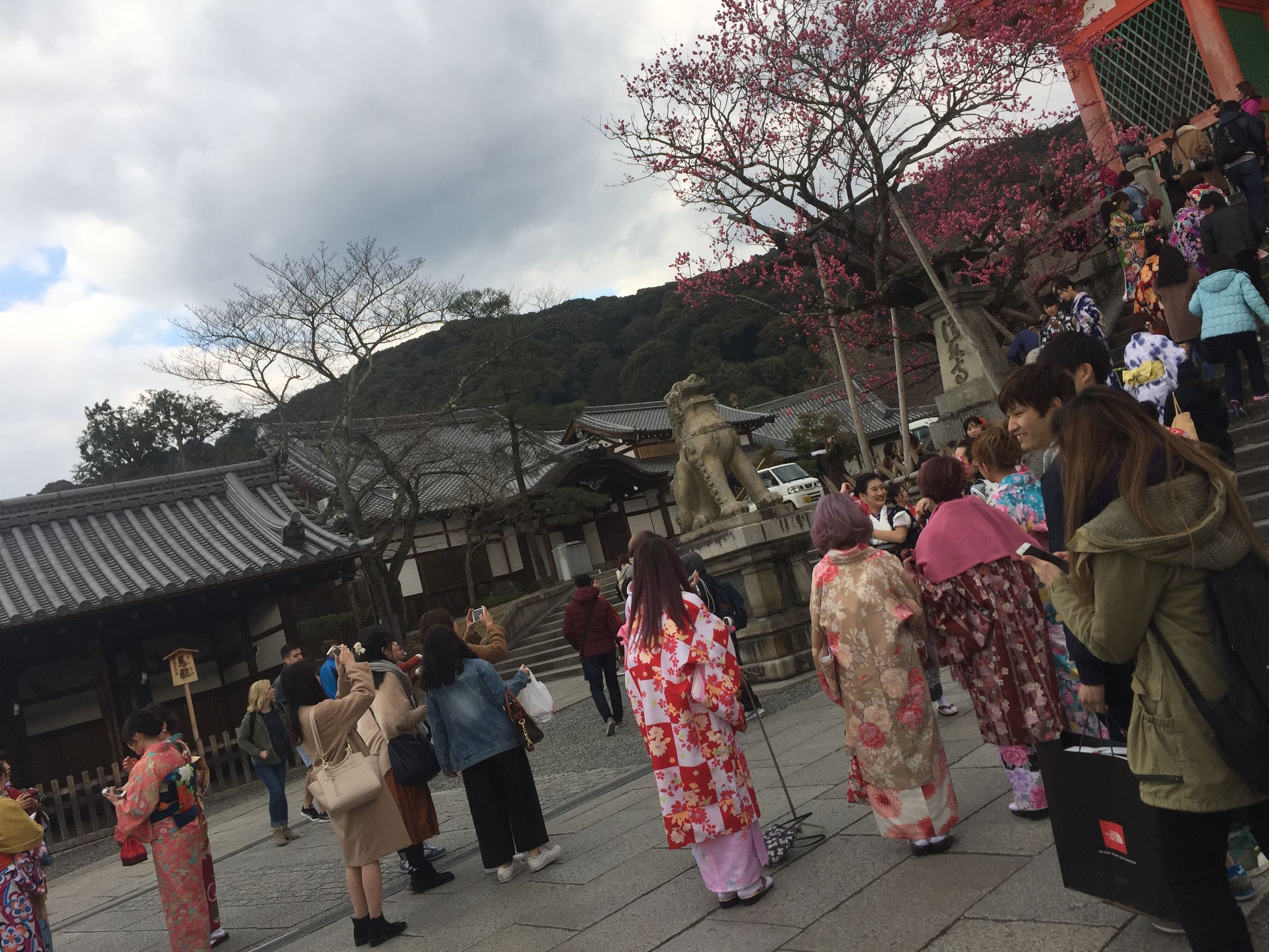 茶之道在于心静,茶是心静的良药