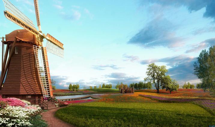 荷兰的大公司有哪些,荷兰有哪些国际大公司