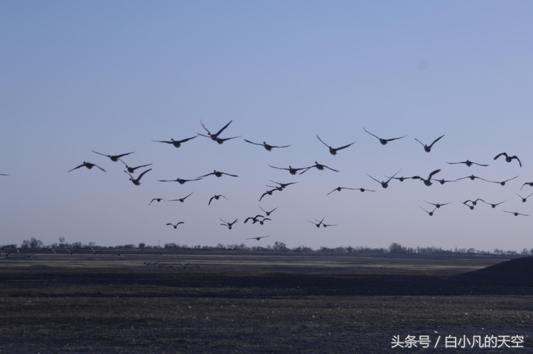 几十年前男子救过一个小男孩,男子十年前收留穷小子10年后报恩