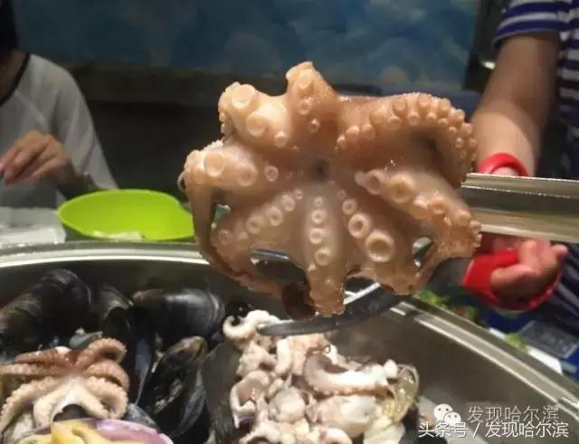 哈尔滨吃海鲜的套路,哈尔滨人吃海鲜