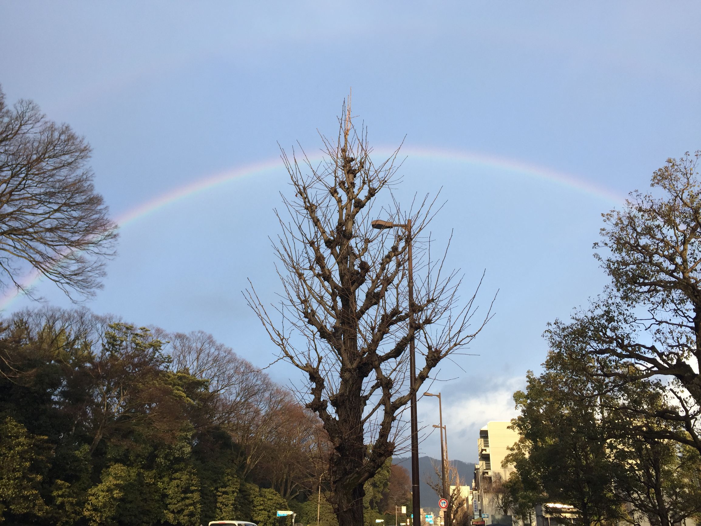 茶之道在于心静,茶是心静的良药