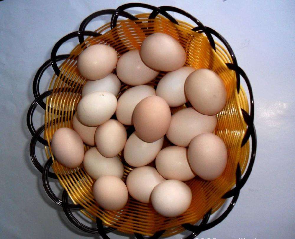 小牛喂鲸鱼奶,一天增重近两百斤!这些冷姿势,简直亮瞎眼