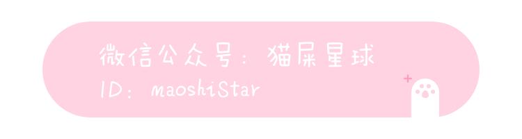 樱花限定单品有哪些,2019年樱花限定品