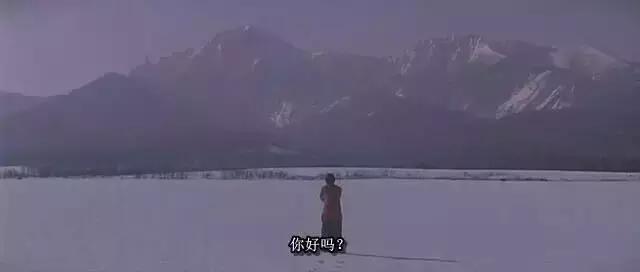 20世纪的美少年柏原崇直树,柏原崇二十世纪最后的美少年