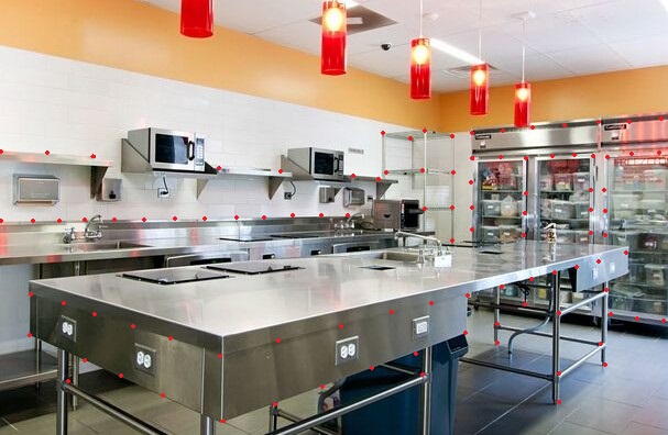 蟑螂怎么消灭最彻底饭店,厨房里面的蟑螂怎样消灭用什么药