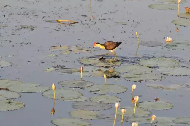 韩国滨海新区,韩国和滨海新区