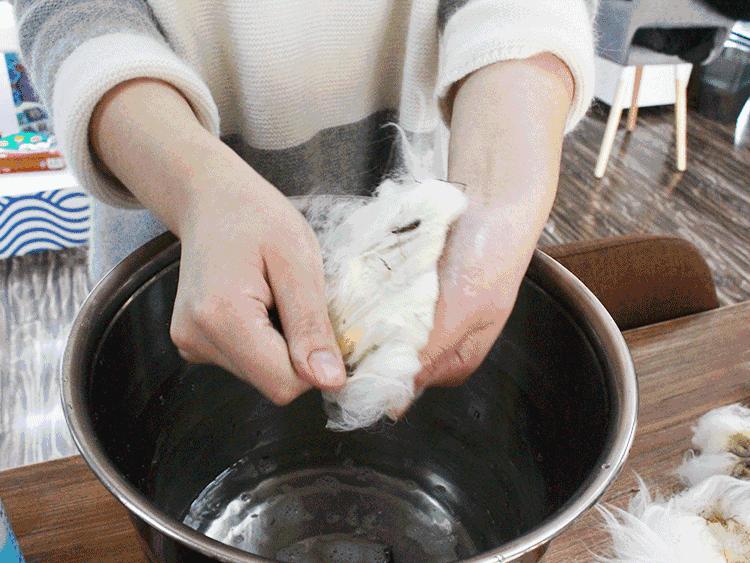 宠物香波哪个好用,什么宠物香波好用