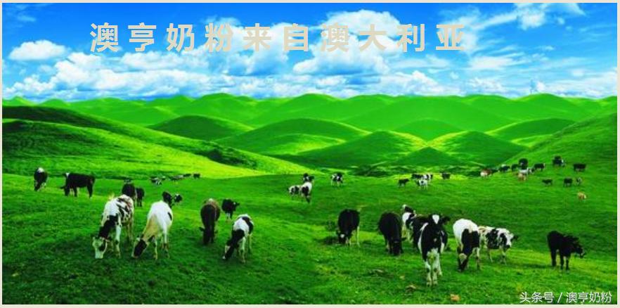 婴儿奶粉颜色的区别,爱宝宝奶粉