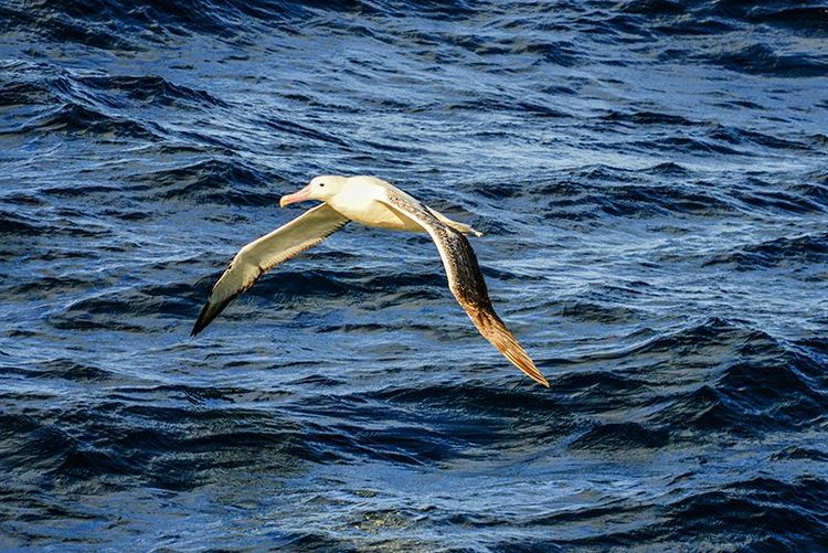 嗨哩文旅丨在世界的尽头的九个日日夜夜