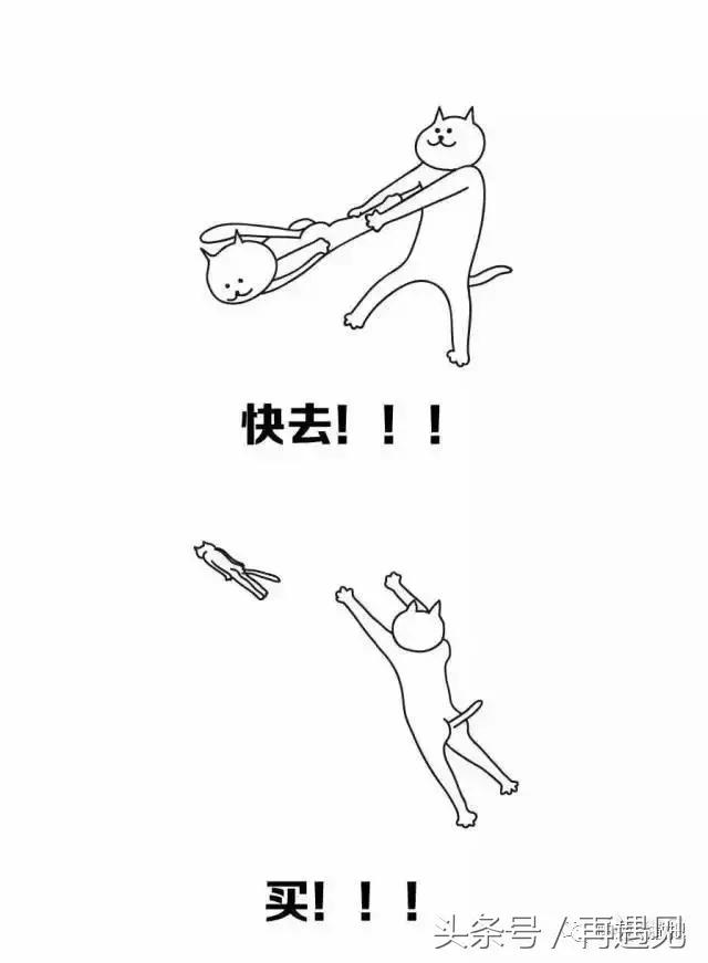 帕劳物价及生活水平,帕劳物价为什么这么贵