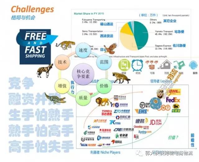 跨境电商与国际贸易,跨境电商与国际物流专业