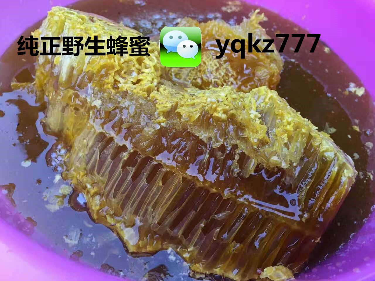 收野生土特产日记：带你去看看，老挝的原始山区！