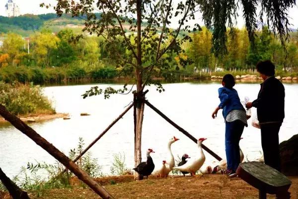 大连外国语大学现在让进吗,大连外国语大学怎么样了