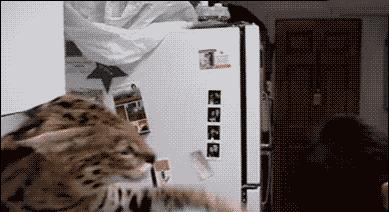 我抬起头大声喊了句：什么？300块太贵了