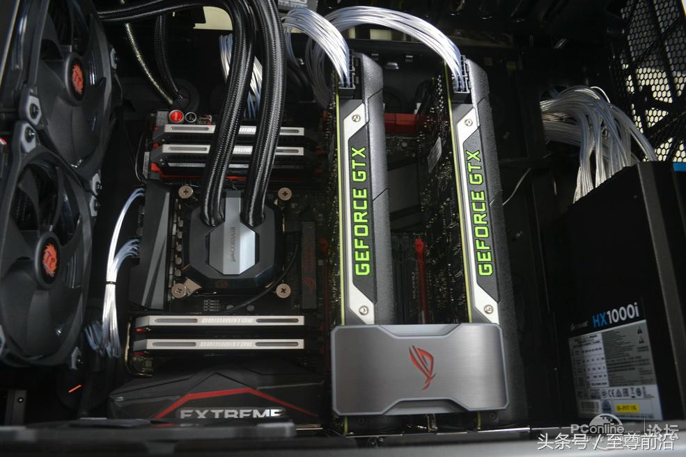 枭雄再现,枭雄再现最新小说