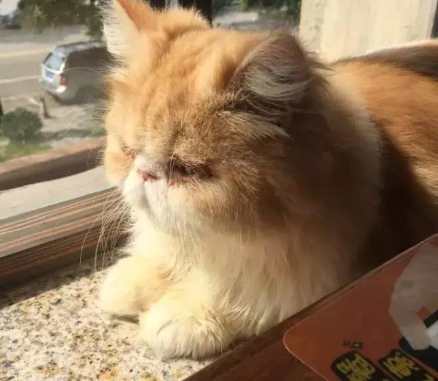 广州儿童主题餐厅,广州榴莲主题餐厅