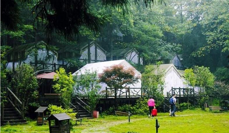 恩施森林旅游,恩施咸丰坪坝营旅游景点