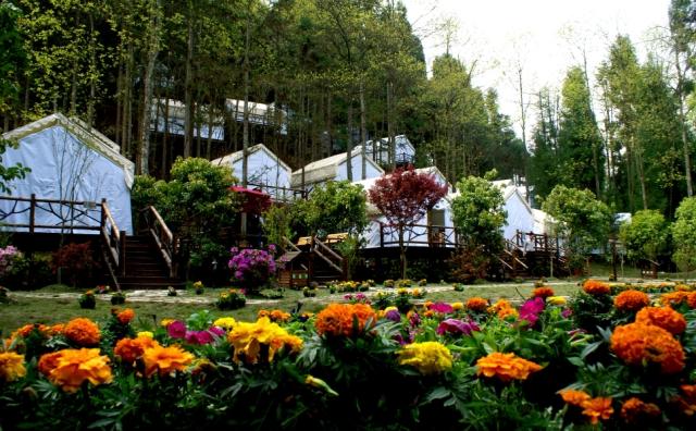 恩施森林旅游,恩施咸丰坪坝营旅游景点