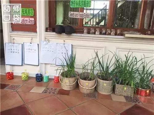 自然生态特色幼儿园,国际幼儿园自然角