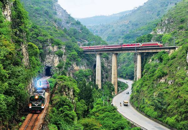 每日花语全集,每日花语紫罗兰永恒的美