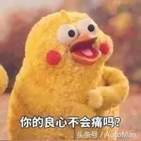 国内车企的责任,中国车企责任