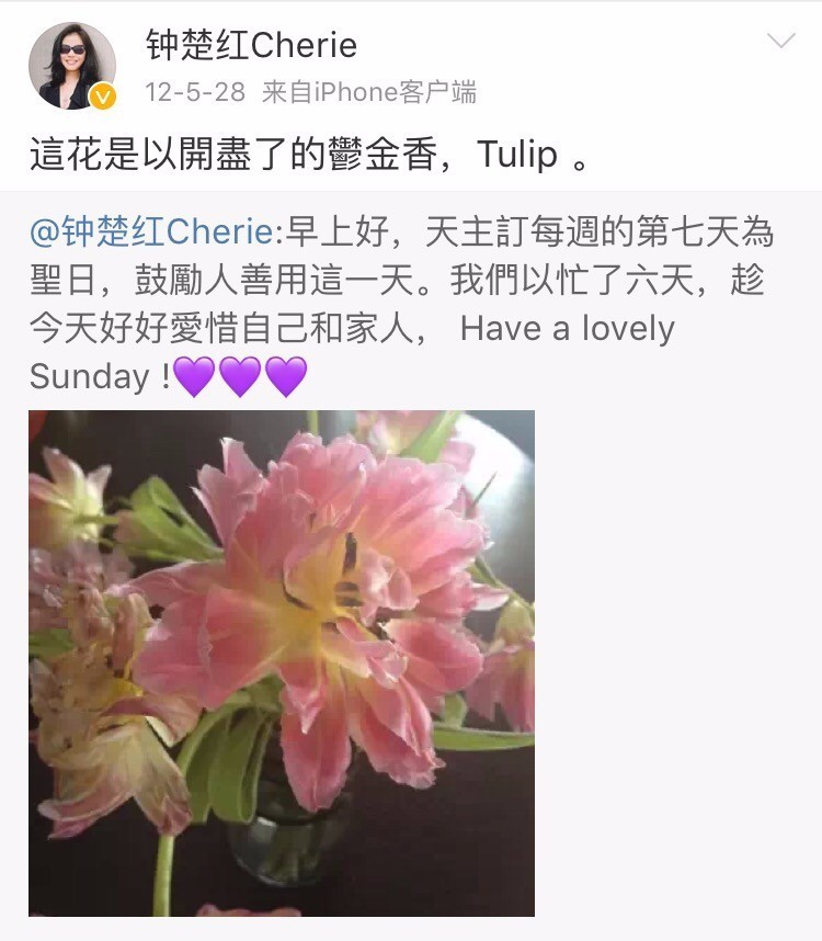 小八｜那些钟楚红爱过的花和包