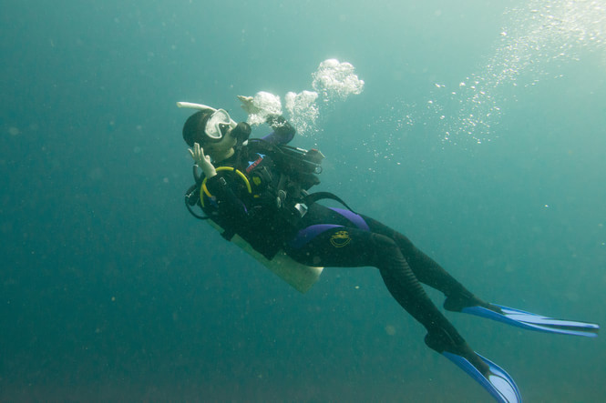 没水母湖的帕劳,帕劳水母湖怎么去