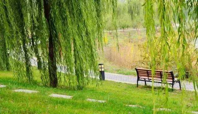 定个小目标100天,定个小目标完整版