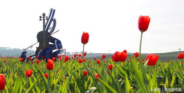 鑽峰叞鑺辨捣鐪嬮儊閲戦,鍘昏嵎鍏扮湅閮侀噾棣欏惂