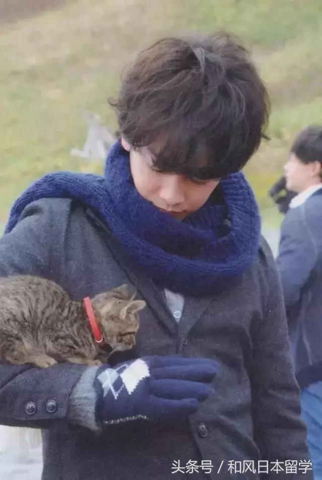 佐藤健颜值评价,佐藤健在日本颜值排名