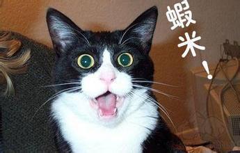 昨日被同学安利了一对颜值超高的校花校草，没想到竟然是这么回事