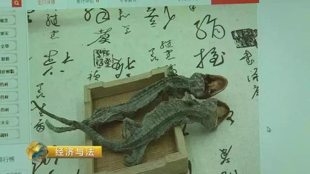 养生酒到底能不能喝,养生酒可以任性喝吗