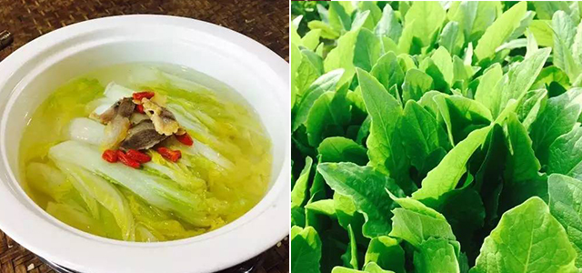 精选:武汉周边小众旅行地,田园生活美成诗!