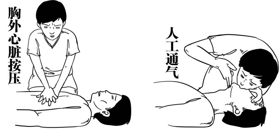 种草莓的几个基本步骤,怎么种草莓才最安全