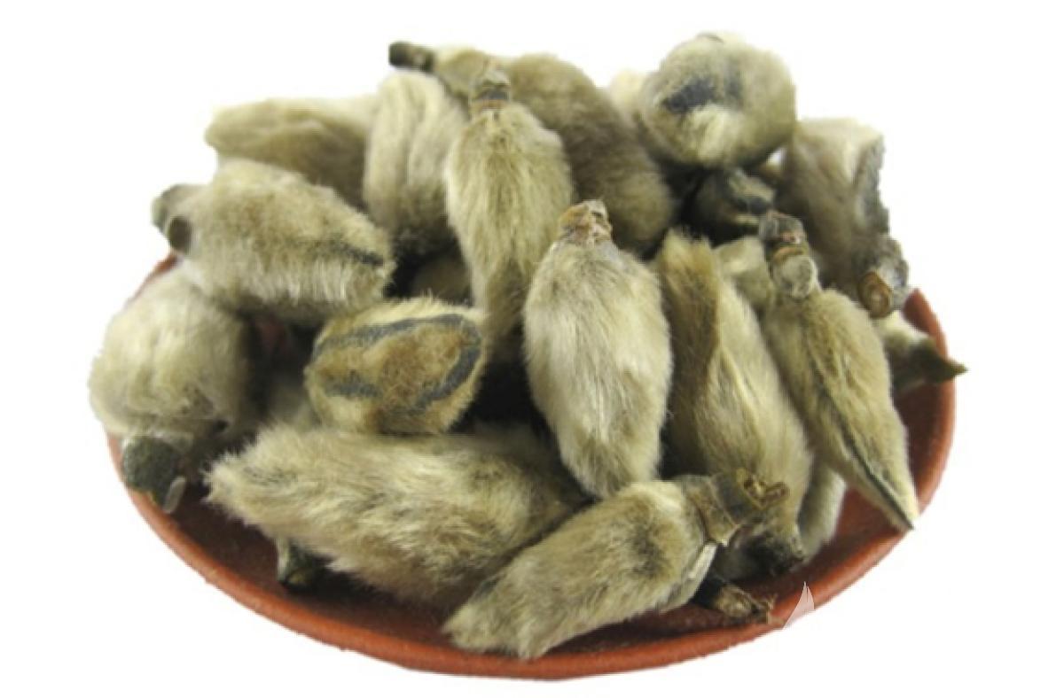 春天到了过敏性鼻炎就犯了,过敏性鼻炎家里可以种花吗