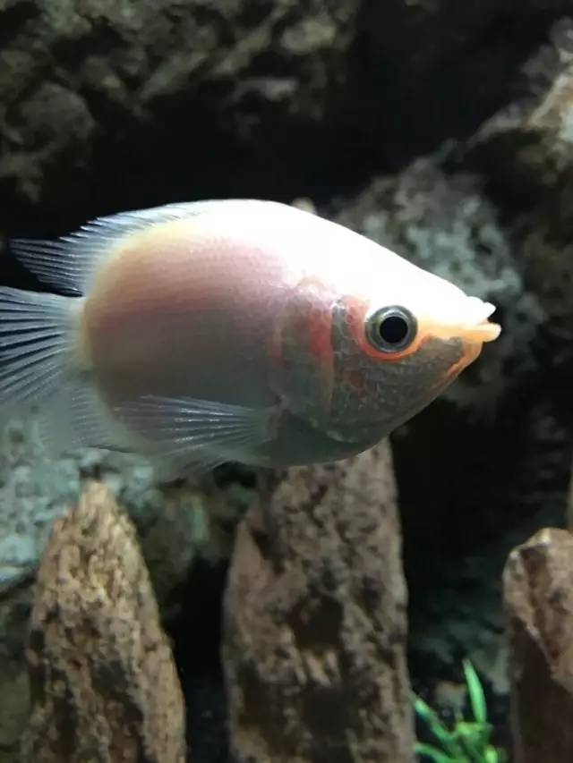 杭州极地海洋游玩图,杭州极地海洋世界旅游攻略