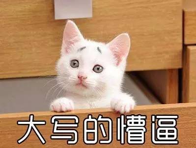 虞姬历史最高战力,虞姬为什么不能失败一次