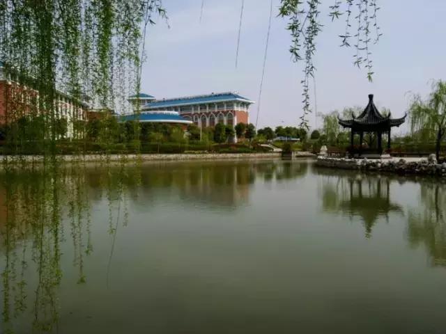 致镇江第一中学：我凭什么忘不了你