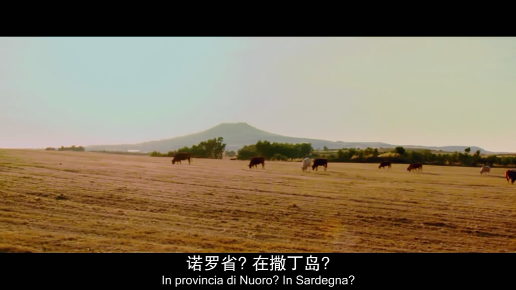 见识下去年意大利票房冠军的喜剧水准——电影《我去哪儿》简评