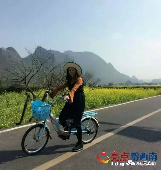 贵州万峰林油菜花怎么玩,贵州万峰林最美油菜花视频