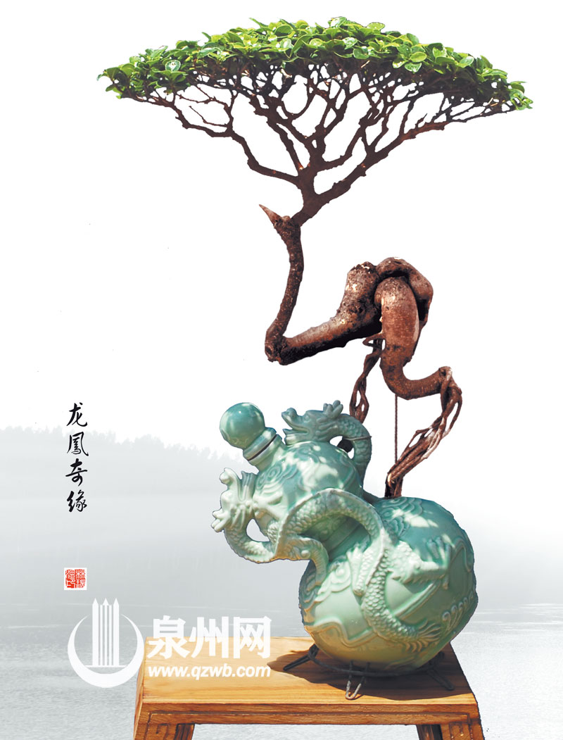 把空酒瓶做成盆景视频,废旧酒瓶制作的盆景