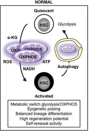 nature一周论文导读2020年8月20日,nature一周论文导读2020年6月18日