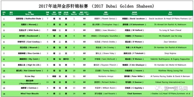 2024迪拜赛马世界杯新纪录,迪拜赛马世界杯黑马